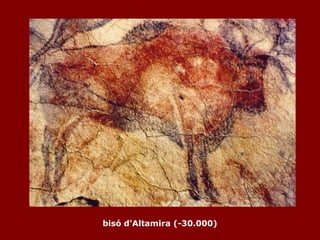 bisó d'Altamira (-30.000) 