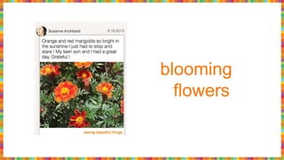 blooming
flowers
 