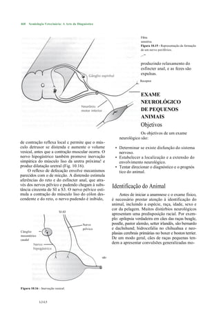 468   Semiologia Veterinária: A Arte do Diagnóstico



                                                                                Fibra
                                                                                sensitiva
                                                                                Figura 10.15 - Representação da formação
                                                                                de um nervo periférico.
                                                                                ,--""

                                                                                produzindo relaxamento do
                                                                                esfíncter anal, e as fezes são
                                                                                expulsas.
                                                                                Receptor



                                                                                EXAME
                                                                                NEUROLÓGICO
                                                                                DE PEQUENOS
                                                                                ANIMAIS
                                                                                Objetivos
                                                                              Os objetivos de um exame
                                                                  neurológico são:
de contração reflexa local c permite que o mús-
culo detrusor se distenda e aumente o volume                    • Determinar se existe disfunção do sistema
vesical, antes que a contração muscular ocorra. O                 nervoso.
nervo hipogástrico também promove inervação                     • Estabelecer a localização e a extensão do
simpática do músculo liso da uretra próxima! e                    envolvimento neurológico.
produz dilatação uretral (Fig. 10.16).                          • Tentar direcionar o diagnóstico e o prognós
    O reflexo de defecação envolve mecanismos                     tico do animal.
parecidos com o de micção. A distensão estimula
aferências do reto e do esfíncter anal, que atra-
vés dos nervos pélvico e pudendo chegam à subs-               Identificação do Animal
tância cinzenta de SI a S3. O nervo pélvico esti-
mula a contração do músculo liso do cólon des-                     Antes de iniciar a anamnese c o exame físico,
cendente e do reto, o nervo pudendo é inibido,                é necessário prestar atenção à identificação do
                                                              animal, incluindo a espécie, raça, idade, sexo e
                                                              cor da pelagem. Muitos distúrbios neurológicos
                            S1-S3
                                                              apresentam uma predisposição racial. Por exem-
                                                              plo: epilepsia verdadeira em cães das raças beagle,
                                           Nervo              poodle, pastor alemão, setter irlandês, são bernardo
                                           pélvico            e dachshund; hidrocefalia no chihuahua e neo-
Cânglio
                                                              plasias cerebrais primárias no boxer e boston terrier.
mesentérico
caudal
                                                              De um modo geral, cães de raças pequenas ten-
                                                              dem a apresentar convulsões generalizadas mo-

                                                 Nervo
                                                    pudendo




Figura 10.16 - Inervação vesical.



              L2-L5
 