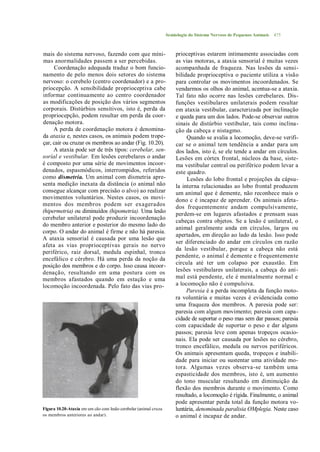 Semiologia do Sistema Nervoso de Pequenos Animais   475



mais do sistema nervoso, fazendo com que míni-                        prioceptivas estarem intimamente associadas com
mas anormalidades passem a ser percebidas.                            as vias motoras, a ataxia sensorial é muitas vezes
     Coordenação adequada traduz o bom funcio-                        acompanhada de fraqueza. Nas lesões da sensi-
namento de pelo menos dois setores do sistema                         bilidade proprioceptiva o paciente utiliza a visão
nervoso: o cerebelo (centro coordenador) e a pro-                     para controlar os movimentos incoordenados. Se
priocepção. A sensibilidade proprioceptiva cabe                       vendarmos os olhos do animal, acentua-se a ataxia.
informar continuamente ao centro coordenador                          Tal fato não ocorre nas lesões cerebelares. Dis-
as modificações de posição dos vários segmentos                       funções vestibulares unilaterais podem resultar
corporais. Distúrbios sensitivos, isto é, perda da                    em ataxia vestibular, caracterizada por inclinação
propriocepção, podem resultar em perda da coor-                       e queda para um dos lados. Pode-se observar outros
denação motora.                                                       sinais de distúrbio vestibular, tais como inclina-
     A perda de coordenação motora é denomina-                        ção da cabeça e nistagmo.
da ataxia e, nestes casos, os animais podem trope-                         Quando se avalia a locomoção, deve-se verifi-
çar, cair ou cruzar os membros ao andar (Fig. 10.20).                 car se o animal tem tendência a andar para um
     A ataxia pode ser de três tipos: cerebelar, sen-                 dos lados, isto é, se ele tende a andar em círculos.
soríal e vestibular. Em lesões cerebelares o andar                    Lesões em córtex frontal, núcleos da base, siste-
é composto por uma série de movimentos incoor-                        ma vestibular central ou periférico podem levar a
denados, espasmódicos, interrompidos, referidos                       este quadro.
como dismetria. Um animal com dismetria apre-                              Lesões do lobo frontal e projeções da cápsu-
senta medição inexata da distância (o animal não                      la interna relacionadas ao lobo frontal produzem
consegue alcançar com precisão o alvo) ao realizar                    um animal que é demente, não reconhece mais o
movimentos voluntários. Nestes casos, os movi-                        dono c é incapaz de aprender. Os animais afeta-
mentos dos membros podem ser exagerados                               dos frequentemente andam compulsivamente,
(hipermetria) ou diminuídos (hipometria). Uma lesão
                                                                      perdem-se em lugares afastados e prensam suas
cerebelar unilateral pode produzir incoordenação
                                                                      cabeças contra objetos. Se a lesão é unilateral, o
do membro anterior e posterior do mesmo lado do
                                                                      animal geralmente anda em círculos, largos ou
corpo. O andar do animal é firme e não há paresia.
                                                                      apertados, em direção ao lado da lesão. Isso pode
A ataxia sensorial é causada por uma lesão que
                                                                      ser diferenciado do andar em círculos cm razão
afeta as vias proprioceptivas gerais no nervo
                                                                      da lesão vestibular, porque a cabeça não está
periférico, raiz dorsal, medula espinhal, tronco
                                                                      pendente, o animal é demente e frequentemente
encefálico e cérebro. Há uma perda da noção da
posição dos membros e do corpo. Isso causa incoor-                    circula até ter um colapso por exaustão. Em
denação, resultando em uma postura com os                             lesões vestibulares unilaterais, a cabeça do ani-
membros afastados quando em estação e uma                             mal está pendente, ele é mentalmente normal e
locomoção incoordenada. Pelo fato das vias pro-                       a locomoção não é compulsiva.
                                                                           Paresia é a perda incompleta da função moto-
                                                                      ra voluntária e muitas vezes é evidenciada como
                                                                      uma fraqueza dos membros. A paresia pode ser:
                                                                      paresia com algum movimento; paresia com capa-
                                                                      cidade de suportar o peso mas sem dar passos; paresia
                                                                      com capacidade de suportar o peso e dar alguns
                                                                      passos; paresia leve com apenas tropeços ocasio-
                                                                      nais. Ela pode ser causada por lesões no cérebro,
                                                                      tronco encefálico, medula ou nervos periféricos.
                                                                      Os animais apresentam queda, tropeços e inabili-
                                                                      dade para iniciar ou sustentar uma atividade mo-
                                                                      tora. Algumas vezes observa-se também uma
                                                                      espasticidade dos membros, isto é, um aumento
                                                                      do tono muscular resultando em diminuição da
                                                                      flexão dos membros durante o movimento. Como
                                                                      resultado, a locomoção é rígida. Finalmente, o animal
                                                                      pode apresentar perda total da função motora vo-
Figura 10.20-Ataxia em um cão com lesão cerebelar (animal cruza       luntária, denominada paralisia OMplegia. Neste caso
os membros anteriores ao andar).                                      o animal é incapaz de andar.
 