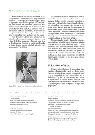 482   Semiologia Veterinária: A Arte do Diagnóstico



     Nos distúrbios vestibulares bilaterais, a ca-                    No distúrbio vestibular periférico há uma di-
beça pendente e o nistagmo estão frequentemente                  minuição do tono extensor do lado afetado e um
ausentes. O animal pode estar atáxico pela perda                 aumento do lado oposto, portanto o animal se in-
de equilíbrio e estes sinais podem ser confundi-                 clina para o lado da lesão. Esta inclinação não deve
dos com aqueles dos distúrbios cerebelares. En-                  ser confundida com hemiparesia, em que se ob-
tretanto, numa observação mais minuciosa, não                    serva uma evidente perda da força muscular. O
haverá hipermetria, tremor de intenção ou a ca-                  animal pode, ainda, esbarrar em objetos pela per-
racterística oscilação da cabeça, observados nas                 da de equilíbrio. Um animal com distúrbio vesti-
doenças cerebelares. Na doença vestibular bila-                  bular periférico agudo está sempre tão desorienta-
teral, o animal cai para qualquer um dos lados.                  do que pode-se observar um rolar contínuo e uma
     Nos distúrbios vestibulares unilaterais, os                 incapacidade de se manter em estação.
animais podem andar em círculos fechados para
                                                                      Numa infecção simples da orelha interna a
o lado da lesão e apresentar relutância para virar
na direção oposta. O animal se inclina e pode andar              locomoção do animal é apenas levemente atáxica,
ao longo de uma parede pelo lado afetado, bus-                   podendo tropeçar para o lado da lesão. Ocasio-
cando apoio (Fig. 10.28).                                        nalmente, especialmente em gatos, a infecção po-
                                                                 derá ascender pelo nervo vestibular e causar um
                                                                 abscesso no tronco encefálico ou um quadro de
                                                                 meningite. Se ocorrer uma ascensão da infecção,
                                                                 pode-se observar uma hipermetria ipsilateral,
                                                                 hemiparesia e alterações nas rcações posturais
                                                                 (Tabela 10.3).


                                                                 IX Par - Glossofaríngeo
                                                                      O nervo glossofaríngeo é responsável pelo
                                                                 paladar, pela deglutição e está envolvido no re-
                                                                 flexo do vómito. Ele é testado observando-se o
                                                                 reflexo de deglutição, por compressão externa
                                                                 da faringe (Fig. 10.29), e de vómito, por estímu-
                                                                 lo digital direto da faringe. Lesões do nervo glos-
                                                                 sofaríngeo causam ausência do reflexo de vómi-
                                                                 to, diminuição do tono faringeano, disfagia e re-
Figura 10.28 -Animal com distúrbio vestibular unilateral.        gurgitação.


  Tabela 10.3 - Sinais neurológicos diferenciando doença vestibular periférica de doença vestibular central.

  Doença vestibular periférica                                   Doença vestibular central
  Cabeça pendente                                                Cabeça pendente
  Andar em círculos, rolamento, inclinação                       Andar em círculos, rolamento, inclinação Nistagmo
  Nistagmo - horizontal ou rotatório Nistagmo                    - horizontal, rotatório ou vertical Nistagmo
  posicionai - nenhuma alteração                                 posicionai - variando entre horizontal,
                                                                    vertical ou rotatório
  Estrabismo posicionai                                          Estrabismo posicionai
  Lesões do VII par de nervos cranianos                          Lesões do V, VI e VII pares de nervos cranianos Não
  Síndrome de Horner                                             ocorre síndrome de Horner Locomoção: ataxia severa
  Locomoção: ataxia suave e desorientação                        Hemiparesia ipsilateral ou tetraparesia Distúrbio de
                                                                 posicionamento ou de saltitamento Hipermetria
                                                                 ipsilateral Distúrbios da propriocepção consciente
                                                                 Tremores de cabeça no envolvimento cerebelar
 
