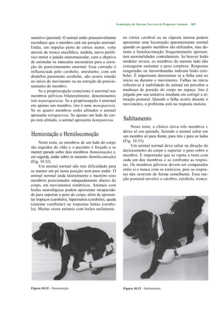 Semiologia do Sistema Nervoso de Pequenos Animais   485



sensitivo (parietal). O animal então presumivelmente         no córtex cerebral ou na cápsula interna podem
reconhece que o membro está em posição anormal.              apresentar uma locomoção aparentemente normal
Então, um impulso parte do córtex motor, volta               quando os quatro membros são utilizados, mas du-
através do tronco encefálico, medula, nervo perifé-          rante a hemilocomoção frequentemente apresen-
rico motor e junção neuromuscular, com o objetivo            tam anormalidades contralaterais. Se houver lesão
de estimular os músculos necessários para a corre-           medular severa, os membros do mesmo lado não
ção do posicionamento anormal. Essa correção é               conseguem sustentar o peso corpóreo. Respostas
influenciada pelo cerebelo; entretanto, com um               exageradas ou incoordenadas indicam lesão cere-
distúrbio puramente cerebelar, não ocorre retardo            belar. É importante determinar se a falha está no
no início do movimento ou na correção do posicio-            início ou durante o movimento. Falhas no início
namento do membro.                                           referem-se à inabilidade do animal em perceber a
     Se a propriocepção consciente é anormal nos             mudança de posição do corpo no espaço. Isto é
membros pélvicos bilateralmente, denominamos                 julgado por sua tentativa imediata em corrigir a al-
isto áeparaparesia. Se a propriocepção é anormal             teração postural. Quando a falha ocorre durante o
em apenas um membro, isto é uma monoparesia.                 movimento, o problema está na resposta motora.
Se os quatro membros estão afetados o animal
apresenta tetraparesia. Se apenas um lado do cor-
po está afetado, o animal apresenta hemiparesia.             Saltitamento
                                                                  Neste teste, o clínico eleva três membros c
                                                             deixa só um apoiado, fazendo o animal saltar em
Hemiestação e Hemilocomoção                                  um membro só para frente, para trás c para os lados
      Neste teste, os membros de um lado do corpo            (Fig. 10.33).
são erguidos do chão e o paciente é forçado a se                  Um animal normal deve saltar na direção do
manter parado sobre dois membros (hemiestação) e,            deslocamento do corpo e suportar o peso sobre o
em seguida, andar sobre os mesmos (hemilocomoção)            membro. E importante que se repita o teste com
(Eig. 10.32).                                                cada um dos membros e se confronte as respos-
      Um animal normal não tem dificuldade para              tas. Os membros pélvicos devem ser comparados
se manter em pé nesta posição nem para andar. O              entre si e nunca com os torácicos, pois as respos-
animal normal anda lateralmente e mantém seus                tas não ocorrem de forma semelhante. Essa rea-
membros posicionados adequadamente abaixo do                 ção postural envolve o cérebro, cerebelo, tronco
corpo, em movimentos simétricos. Animais com
lesões neurológicas podem apresentar incapacida-
de para suportar o peso do corpo, além de apresen-
tar tropeços (cerebelo), hipermetria (cerebelo), queda
(sistema vestibular) ou respostas lentas (cerebe-
lo). Muitas vezes animais com lesões unilaterais




Figura 10.32 - Hemiestação.                                  Figura 10.33 - Saltitamento.
 