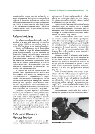 Semiologia do Sistema Nervoso de Pequenos Animais      489



uma diminuição no tono muscular ipsilateral e ex-           considerados de pouca valia quando da realiza-
tensão contralateral dos membros, em razão da               ção de um exame neurológico em cães e gatos.
ausência de impulsos facilitatórios ipsilaterais e          Os reflexos são: reflexo bicipital, reflexo tricipital
inibitórios contralaterais para os músculos extenso-        e reflexo extensor carporradial.
res. O efeito da tensão muscular sobre â performan-              Reflexo bicipital. O reflexo bicipital é deflagrado
ce das reações posturais torna-se muito evidente em         quando se segura um membro anterior relaxado
cães com paresia severa e generalizada de neurô-            com o cotovelo ligeiramente flexionado, posicio-
nios motores inferiores.                                    nando-se o dedo indicador no tendão de inserção
                                                            do bíceps, na face ântcro-medial do cotovelo, e bate-
                                                            se com um martelo (Fig. 10.40).
Reflexos Medulares                                               Uma resposta normal é uma discreta flexão
                                                            do cotovelo. Embora este reflexo seja algumas
     Os reflexos medulares são testados para de-            vezes difícil de ser deflagrado, um pequeno en-
terminar se a lesão está localizada no neurônio             curtamento do tendão geralmente pode ser palpado
motor inferior (NMI) ou no neurônio motor su-               no animal normal. Se o reflexo estiver presente,
perior (NMS) e, dessa forma, localizá-la melhor.            os segmentos da medula espinhal e as raízes dos
     Lesões no NMI causam: perda da atividade               nervos C6 a C8 e o nervo musculocutâneo estão
motora voluntária; perda dos reflexos medulares;            intactos. Este reflexo pode se tornar hiperativo
perda do tono muscular e atrofia muscular por
                                                            em lesões acima do C6.
denervação. Nestes casos observa-se uma parali-
                                                                 Reflexo tricipital. O reflexo tricipital é defla-
sia do tipo flácida. Já lesões no NMS causam: perda
                                                            grado quando se segura um membro anterior re-
da atividade motora voluntária; reflexos exagera-
                                                            laxado com o cotovelo ligeiramente flexionado e
dos, hiperativos; aumento do tono muscular; atrofia
                                                            bate-se com o martelo no tendão de inserção do
muscular por desuso e aparecimento de reflexos
espinhais anormais. Neste caso observa-se uma               tríceps, próximo ao olécrano, ou quando se posi-
paralisia do tipo espástica, que não deve ser con-          ciona o dedo indicador ou o polegar no tendão,
fundida com rigidez extensora.                              batendo-se o dedo ou o polegar com o martelo
     A resposta aos reflexos espinhais pode ser             (Fig. 10.41).
graduada com a seguinte escala: O = arreflexia ou                Uma resposta normal é uma discreta exten-
reflexo abolido; +1 = presente mas com hiporreflexia;       são do cotovelo. Embora a resposta seja frequen-
+2 = normorreflexia; +3 = hiper-reflexia; +4 = hiper-       temente pequena, em animais normais uma li-
reflexia com presença de clono (repetidas flexões           geira extensão do cotovelo pode ser visualizada
e extensões das articulações em resposta a um único         ou palpada. Se o reflexo estiver presente, os seg-
estímulo). Para a pesquisa destes reflexos o ani-           mentos da medula espinhal e as raízes dos ner -
mal deve ser posicionado em decúbito lateral, tes-          vos C7 a Tl e o nervo radial estão intactos. Este
tando-se sempre bilateralmente, para que se com-            reflexo pode se tornar hiperativo em lesões aci-
pare as respostas nos lados direito c esquerdo.             ma do G7.
     Um reflexo espinhal deprimido ou ausente é                  Reflexo extensor carporradial. Este reflexo é
produzido por uma lesão do nervo periférico sen-            deflagrado quando se segura um membro ante-
sitivo, raízes dorsais, segmentos da medula espi-
nhal, raízes ventrais, nervos periféricos motores,
junções neuromusculares ou músculos do arco
reflexo específico. Os reflexos espinhais hiperativos
estão associados com lesões do neurônio motor
superior em qualquer parte rostral ao arco refle-
xo na medula espinhal, tronco cerebral e córtex
cerebral do lobo frontal.


Reflexos Miotáticos nos
Membros Torácicos
    Os reflexos nos membros torácicos são difí-
ceis de obter em animais normais e, portanto,               Figura 10.40 - Reflexo bicipital.
 