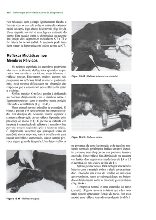 490   Semiologia Veterinária: A Arte do Diagnóstico



rior relaxado, com o carpo ligeiramente fletido, e
bate-se com o martelo sobre o músculo extensor
radial do carpo, logo abaixo do cotovelo (Fig. 10.42).
Uma resposta normal é uma ligeira extensão do
carpo. Esta reação torna-se diminuída ou ausente
em lesões dos segmentos medulares C7 a Tl e
de raízes do nervo radial. A resposta pode tam-
bém tornar-se hiperativa em lesões acima de C7.


Reflexos Miotáticos nos
Membros Pélvicos
     Os reflexos espinhais dos membros posteriores
são mais facilmente deflagrados quando compa-
rados aos membros torácicos, especialmente o
reflexo patelar. Entretanto, muitos autores não          Figura 10.42 - Reflexo extensor carporradial.
pesquisam os reflexos tibial cranial e gastrocnê-
mio, pela mesma dificuldade na obtenção das
respostas que a encontrada nos reflexos bicipital
e tricipital.
     Reflexo patelar. O reflexo patelar é deflagrado
ao bater-se diretamente com o martelo sobre o
ligamento patelar, com o membro numa posição
relaxada e scmifletida (Fig. 10.43).
     Num animal normal o joelho se estenderá. O
reflexo patelar é o reflexo mais facilmente testa-
do. Em doenças do neurônio motor superior c
comum a observação de um reflexo hiperativo com
presença de clono (+4). O joelho se estende em
resposta à estimulação do reflexo e o membro vibra
por uns poucos segundos após a resposta inicial.
É importante salientar que qualquer lesão de
neurônio motor superior, severa o suficiente para
causar um reflexo aumentado, quase sempre pro-           Figura 10.43 - Reflexo patelar.
voca algum grau de fraque/a. Uma hiper-rcflexia
                                                         na presença de uma locomoção e de reações pos-
                                                         turais normais geralmente indica um erro duran-
                                                         te o exame neurológico ou um paciente tenso e
                                                         excitado. Este reflexo fica diminuído ou ausente
                                                         em lesões dos segmentos medulares de L4 a L5
                                                         e acentua-se em lesões acima de L4.
                                                              Reflexo gastrocnêmio. Para deflagrar este reflexo
                                                         bate-se com o martelo sobre o dedo do examina-
                                                         dor, colocado em cima do tendão do músculo
                                                         gastrocnêmio, junto ao tubercalcâneo, ou baten-
                                                         do-se diretamente sobre o músculo gastrocnêmio
                                                         (Fig. 10.44).
                                                              A resposta normal é uma extensão do tarso
                                                         (jarrete). Alguns autores relatam que cães nor-
                                                         mais podem apresentar flexão do tarso. Por esse
Figura 10.41 - Reflexo tricipital.                       motivo esse reflexo tem sido considerado de difícil
 