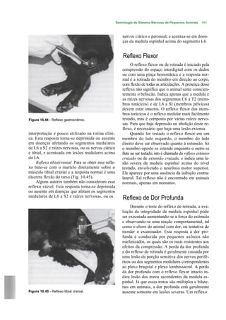 Semiologia do Sistema Nervoso de Pequenos Animais      491



                                                            nervos ciático e peroneal, e acentua-se em doen-
                                                            ças da medula espinhal acima do segmento L6.


                                                            Reflexo Flexor
                                                                  O reflexo flexor ou de retirada é iniciado pela
                                                            compressão do espaço interdigital com os dedos
                                                            ou com uma pinça hemostática e a resposta nor-
                                                            mal é a retirada do membro em direção ao corpo,
                                                            com flexão de todas as articulações. A presença desse
                                                            reflexo não significa que o animal sente conscien-
                                                            temente o beliscão. Indica apenas que a medula e
                                                            as raízes nervosas dos segmentos C6 a T2 (mem-
                                                            bros torácicos) e de L6 a SI (membros pélvicos)
                                                            devem estar intactos. O reflexo flexor dos mem-
                                                            bros torácicos é o reflexo medular mais facilmente
Figura 10.44 - Reflexo gastrocnêmio.                        testado, mas é composto por várias raízes nervo-
                                                            sas. Para que haja depressão ou abolição deste re-
                                                            flexo, é necessário que haja uma lesão extensa.
interpretação e pouco utilizado na rotina clíni-                  Quando for testado o reflexo flexor em um
ca. Esta resposta torna-sc deprimida ou ausente             membro do lado esquerdo, o membro do lado
em doenças afetando os segmentos medulares                  direito deve ser observado quanto à extensão. Se
de L6 a S2 e raízes nervosas, ou os nervos ciático          o membro oposto se estende enquanto o outro se
e tibial, e acentuada em lesões medulares acima             flete ao ser testado, isto é chamado de reflexo extensor
do L6.                                                      cruzado ou de extensão cruzada, e indica uma le-
     Reflexo tibialcranial. Para se obter esse refle-       são severa da medula espinhal acima do nível
xo bate-se com o martelo diretamente sobre o                testado, envolvendo o neurônio motor superior.
músculo tibial cranial e a resposta normal é uma            Ele aparece por uma ausência da inibição contra-
discreta flexão do tarso (Fig. 10.45).                      lateral. Tal reflexo não é encontrado em animais
     Alguns autores também não consideram esse              normais, apenas em neonatos.
reflexo viável. Esta resposta torna-se deprimida
ou ausente em doenças que afetam os segmentos
medulares de L6 a S2 e raízes nervosas, ou os               Reflexo de Dor Profunda
                                                                 Durante o teste do reflexo de retirada, a ava-
                                                            liação da integridade da medula espinhal pode
                                                            ser executada aumentando-se a força do estímulo
                                                            c observando-se uma reação comportamental, tal
                                                            como o choro do animal com dor, ou tentativa de
                                                            morder o examinador. Esta resposta à dor pro-
                                                            funda é conduzida por pequenos axônios não
                                                            mielinizados, os quais são os mais resistentes aos
                                                            efeitos da compressão. A perda da dor profunda
                                                            e do reflexo de retirada é geralmente causada por
                                                            uma lesão da porção sensitiva dos nervos perifé-
                                                            ricos ou dos segmentos medulares correspondentes
                                                            ao plexo braquial e plexo lombossacral. A perda
                                                            da dor profunda com o reflexo flexor intacto in-
                                                            dica lesão dos tratos ascendentes da medula es-
                                                            pinhal. Já que esses tratos são múltiplos e bilate-
                                                            rais em animais, a dor profunda está geralmente
Figura 10.45 - Reflexo tibial cranial.                      ausente somente em lesões severas. Um reflexo
 