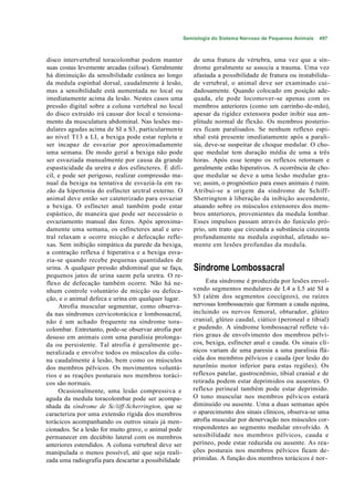 Semiologia do Sistema Nervoso de Pequenos Animais   497



disco intervertebral toracolombar podem manter           de uma fratura de vértebra, uma vez que a sín-
suas costas levemente arcadas (sifose). Geralmente       drome geralmente se associa a trauma. Uma vez
há diminuição da sensibilidade cutânea ao longo          afastada a possibilidade de fratura ou instabilida-
da medula espinhal dorsal, caudalmente à lesão,          de vertebral, o animal deve ser examinado cui-
mas a sensibilidade está aumentada no local ou           dadosamente. Quando colocado em posição ade-
imediatamente acima da lesão. Nestes casos uma           quada, ele pode locomover-se apenas com os
pressão digital sobre a coluna vertebral no local        membros anteriores (como um carrinho-de-mão),
do disco extruído irá causar dor local e tensiona-       apesar da rigidez extensora poder inibir sua am-
mento da musculatura abdominal. Nas lesões me-           plitude normal de flexão. Os membros posterio-
dulares agudas acima de SI a S3, particularmente         res ficam paralisados. Se nenhum reflexo espi-
ao nível T13 a LI, a bexiga pode estar repleta e         nhal está presente imediatamente após a parali-
ser incapaz de esvaziar por aproximadamente              sia, deve-se suspeitar de choque medular. O cho-
uma semana. De modo geral a bexiga não pode              que medular tem duração média de uma a três
ser esvaziada manualmente por causa da grande            horas. Após esse tempo os reflexos retornam e
espasticidade da uretra e dos esfíncteres. É difí-       geralmente estão hiperativos. A ocorrência de cho-
cil, e pode ser perigoso, realizar compressão ma-        que medular se deve a uma lesão medular gra-
nual da bexiga na tentativa de esvaziá-la em ra-         ve; assim, o prognóstico para esses animais é ruim.
zão da hipertonia do esfíncter urctral externo. O        Atribui-se a origem da síndrome de Schiff-
animal deve então ser cateterizado para esvaziar         Sherrington à liberação da inibição ascendente,
a bexiga. O esfíncter anal também pode estar             atuando sobre os músculos extensores dos mem-
espástico, de maneira que pode ser necessário o          bros anteriores, provenientes da medula lombar.
esvaziamento manual das fezes. Após aproxima-            Esses impulsos passam através do funículo pró-
damente uma semana, os esfíncteres anal e ure-           prio, um trato que circunda a substância cinzenta
tral relaxam e ocorre micção e defecação refle-          profundamente na medula espinhal, afetado so-
xas. Sem inibição simpática da parede da bexiga,         mente em lesões profundas da medula.
a contração reflexa é hiperativa e a bexiga esva-
zia-se quando recebe pequenas quantidades de
urina. A qualquer pressão abdominal que se faça,          Síndrome Lombossacral
pequenos jatos de urina saem pela uretra. O re-
flexo de defecação também ocorre. Não há ne-                  Esta síndrome é produzida por lesões envol-
nhum controle voluntário de micção ou defeca-            vendo segmentos medulares de L4 a L5 até SI a
ção, e o animal defeca e urina em qualquer lugar.        S3 (além dos segmentos coccígeos), ou raízes
     Atrofia muscular segmentar, como observa-           nervosas lombossacrais que formam a cauda equina,
da nas síndromes cervicotorácica e lombossacral,         incluindo os nervos femoral, obturador, glúteo
não é um achado frequente na síndrome tora-              cranial, glúteo caudal, ciático (peroneal e tibial)
colombar. Entretanto, pode-se observar atrofia por       e pudendo. A síndrome lombossacral reflete vá-
desuso em animais com uma paralisia prolonga-            rios graus de envolvimento dos membros pélvi-
da ou persistente. Tal atrofia é geralmente ge-          cos, bexiga, esfíncter anal e cauda. Os sinais clí-
neralizada e envolve todos os músculos da colu-          nicos variam de uma paresia a uma paralisia flá-
na caudalmente à lesão, bem como os músculos             cida dos membros pélvicos e cauda (por lesão do
dos membros pélvicos. Os movimentos voluntá-             neurônio motor inferior para estas regiões). Os
rios e as reações posturais nos membros toráci-          reflexos patelar, gastrocnêmio, tibial cranial e de
cos são normais.                                         retirada podem estar deprimidos ou ausentes. O
     Ocasionalmente, uma lesão compressiva e             reflexo perineal também pode estar deprimido.
aguda da medula toracolombar pode ser acompa-            O tono muscular nos membros pélvicos estará
nhada da síndrome de Sc/iiff-Scherrington, que se        diminuído ou ausente. Uma a duas semanas após
caracteriza por uma extensão rígida dos membros          o aparecimento dos sinais clínicos, observa-se uma
torácicos acompanhando os outros sinais já men-          atrofia muscular por denervação nos músculos cor-
cionados. Se a lesão for muito grave, o animal pode      respondentes ao segmento medular envolvido. A
permanecer em decúbito lateral com os membros            sensibilidade nos membros pélvicos, cauda e
anteriores estendidos. A coluna vertebral deve ser       períneo, pode estar reduzida ou ausente. As rea-
manipulada o menos possível, até que seja reali-         ções posturais nos membros pélvicos ficam de-
zada uma radiografia para descartar a possibilidade      primidas. A função dos membros torácicos é nor-
 