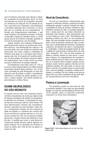 498   Semiologia Veterinária: A Arte do Diagnóstico



mal. O esfíncter anal pode estar flácido e dilata-     Nível de Consciência
do, resultando em incontinência fecal. As fezes
movimentam-se através de contrações muscula-                 O nível de consciência é determinado pela
res intrínsecas do músculo liso da parede do có-       resposta a estímulos externos, resposta de acordar
lon e saem pelo reto. Entretanto, ocasionalmente       subitamente quando o animal é retirado da mãe e
a atividade autónoma não é eficiente e as fezes        a qualidade do choro do neonato. Durante as duas
têm que ser retiradas do rcto manualmente. A           primeiras semanas de vida, os neonatos permane-
bexiga está frequentemente paralisada, o que           cem a maior parte do seu tempo dormindo ou
causa retenção e incontinência urinária. A bexiga      mamando. Eles tendem a ficar amontoados com
se distende e atinge um tamanho maior, e a urina       os seus irmãos ou com a mãe. Normalmente não
goteja através do esfíncter relaxado, podendo-se       dormem sozinhos até cinco ou seis semanas de
esvaziá-la manualmente com facilidade.                 idade. Há uma atividade motora considerável du-
     Alguns animais com síndrome lombossacral          rante o sono na primeira semana de vida, ou mais.
podem apresentar paresia ou paralisia dos mem-         Esse sono é caracterizado por tremores, movimentos
bros pélvicos, com diminuição dos reflexos e do        corpóreos, movimentos de coçar e, ocasionalmen-
tono muscular, mas com função do esfíncter anal        te, vocalização. A partir da segunda semana de vida,
preservada. Em outros animais a disfunção do           o padrão do sono já pode se alterar para um sono
esfíncter anal pode ser o principal sinal clínico,     mais "tranquilo". Por volta de duas semanas de
apenas com uma leve paresia de membros pélvi-          idade os animais tornam-se mais ativos e come-
cos. Os dois grupos de animais possuem síndro-         çam a brincar. O comportamento dos neonatos c
me lombossacral, mas a lesão ocorre em níveis          muito influenciado por fatores tais como fome e
um pouco diferentes da medula espinhal.                frio. Se o neonato estiver saciado e quente, irá per-
     Eventualmente uma lesão entre L6 e SI ou          manecer quieto mesmo quando colocado em um
no nervo ciático pode produzir um reflexo patelar      ambiente estranho. Por outro lado, se estiver com
                                                       fome e com frio, irá acordar mesmo se estiver junto
aumentado (pseudo-hiper-reflexia). Isto ocorre
                                                       com o resto da ninhada e começará a realizar movi-
como resultado de ujna diminuição no tono dos
                                                       mentos e a vocalizar. Por isso, muitas vezes deve-se
músculos que flexionam o joelho e normalmente
                                                       observá-los em vários momentos do dia, para defi-
deprimem a extensão do joelho quando se pro-           nir com precisão seu nível de consciência.
voca o reflexo patelar. Tais lesões também po-
dem diminuir o reflexo flexor.
                                                       Postura e Locomoção
EXAME NEUROLÓGICO                                           Nos primeiros quatro ou cinco dias de vida
                                                       os neonatos mantêm o seu corpo em uma posição
DO CÃO NEONATO                                         fletida, em razão de uma dominância flexora (Fig.
O sistema nervoso não está totalmente desen-           10.47) quando, então, os músculos extensores
                                                       começam a se tornar mais dominantes.
volvido ao nascimento, de modo que alguns testes
de função neurológica não podem ser prontamen-
te aplicados aos neonatos. A maturação do siste-
ma nervoso ocorre por ação de vários fatorcs. Há
uma diferenciação contínua dos neuroblastos
durante o período pós-natal imediato. Além dis-
so, a mielinização continua até seis semanas de
idade em filhotes e o diâmetro dos axônios dos
nervos periféricos aumenta durante as seis pri-
meiras semanas de vida. Esses processos podem
apresentar variações dentro das diferentes raças
de cães. À medida que ocorre o total desenvol-
vimento do sistema nervoso central, algumas res-
postas reflexas vão se alterando até tornarem-se                i
como no adulto, por volta de três ou quatro se-
                                                      Figura 10.47 - Dominância flexora em um cão com três
manas de vida.
                                                      dias de vida.
 