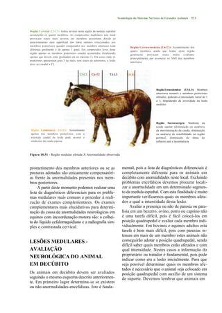 Semiologia do Sistema Nervoso de Grandes Animais        523



Região Cervical (CI-C5): lesões severas nesta região da medula espinhal
acometerão os quatro membros. As compressões medulares este local
provocam sinais mais severos em membros posteriores devido ao
posicionamento mais superficial dos tratos motores relacionados aos
membros posteriores quando comparados aos membros anteriores (esta
                                                                                   Região Cervico-torácica (C6-T2): Acometimento dos
diferença geralmente é de apenas 1 grau). Em compressões leves desta
                                                                                   quatro membros sendo que lesões nesta região
região apenas os membros posteriores estarão acometidos (lembrando
                                                                                   geralmente provocam sinais muito evidentes
apenas que devem estar graduados em no máximo 1). Em casos onde os
                                                                                   principalmente por acometer os NMI dos membros
posteriores apresentam grau 3 ou mais, sem sinais de anteriores, a lesão
                                                                                   anteriores.
deve ser caudal a T3.




                                                                                                      RegiãoToracolombar (T3-L3): Membros
                                                                                                      anteriores normais e membros posteriores
                                                                                                      afetados, podendo a intensidade variar de 1
                                                                                                      a 5, dependendo da severidade da lesão
                                                                                                      medular.




                                                                                                      Região Sacrococcígea: Síndrome da
                                                                                                      cauda equina (diminuição ou ausência
Região Lombosacra (L4-S2): Acometimento                                                               da movimentação da cauda, diminuição
apenas dos membros posteriores, com a                                                                 ou ausência de sensibilidade na região
extensão caudal da lesão pode ocorrer a                                                               perineal, diminuição do tônus do
síndrome da cauda equina.                                                                             esfíncter anal e incontinência



Figura 10.51 - Região medular afetada X Anormalidade observada



prometimento dos membros anteriores ou se as                                 mental, pois a lista de diagnósticos diferenciais é
posturas adotadas são unicamente compensatóri-                               completamente diferente para os animais em
as frente às anormalidades presentes nos mem-                                decúbito com anormalidades neste local. Excluindo
bros posteriores.                                                            problemas encefálicos devemos procurar locali-
     A partir deste momento podemos realizar uma                             zar a anormalidade em um determinado segmen-
lista de diagnósticos diferenciais para os proble-                           to da medula espinhal. Com esta finalidade é muito
mas medulares mais comuns e proceder à reali-                                importante verificarmos quais os membros afeta-
zação de exames complementares. Os exames                                    dos e qual a intensidade desta lesão.
complementares mais elucidativos para determi-                                    Avaliar a presença ou não de paresia ou para-
nação da causa de anormalidades neurológicas em                              lisia em um bezerro, ovino, potro ou caprino não
equinos com incoordenação motora são: a colhei-                              é uma tarefa difícil, pois é fácil colocá-los em
ta do líquido cefalorraquidiano e a radiografia sim-                         posição quadrupedal e avaliar cada membro indi-
ples e contrastada cervical.                                                 vidualmente. Em bovinos e equinos adultos esta
                                                                             tarefa é bem mais difícil, pois com paresias in-
                                                                             tensas em mais de um membro estes animais não
LESÕES MEDULARES -                                                           conseguirão adotar a posição quadrupedal, sendo
                                                                             difícil saber quais membros estão afetados e com
AVALIAÇÃO                                                                    qual intensidade. Nestes casos a informação do
                                                                             proprietário ou tratador é fundamental, pois pode
NEUROLÓGICA DO ANIMAL                                                        indicar como era a lesão inicialmente. Para que
EM DECÚBITO                                                                  seja possível determinar quais os membros afe-
                                                                             tados é necessário que o animal seja colocado em
Os animais em decúbito devem ser avaliados                                   posição quadrupedal com auxílio de um sistema
seguindo o mesmo esquema descrito anteriormen-                               de suporte. Devemos lembrar que animais em
te. Em primeiro lugar determina-se se existem
ou não anormalidades encefálicas. Isto é funda-
 