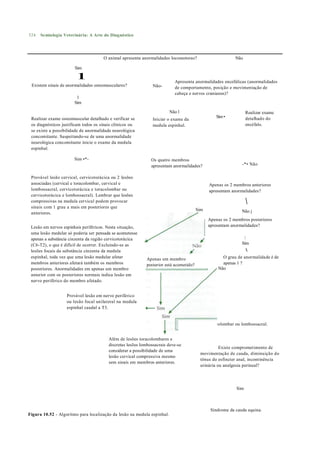 524   Semiologia Veterinária: A Arte do Diagnóstico




                                      O animal apresenta anormalidades locomotoras?                        Não

                       Sim

                        l                                                  Apresenta anormalidades encefálicas (anormalidades
 Existem sinais de anormalidades osteomusculares?               Não-       de comportamento, posição e movimentação de
                                                                           cabeça e nervos cranianos)?
                         l
                       Sim

                                                                         Não l                                   Realizar exame
 Realizar exame osteomuscular detalhado e verificar se                                            Sim •          detalhado do
                                                                Iniciar o exame da
 os diagnósticos justificam todos os sinais clínicos ou         medula espinhal.                                 encéfalo.
 se existe a possibilidade de anormalidade neurológica
 concomitante. Suspeitando-se de uma anormalidade
 neurológica concomitante inicie o exame da medula
 espinhal.

                       Sim •*-                                 Os quatro membros
                                                               apresentam anormalidades?                      -*• Não

 Provável lesão cervical, cervicotorácica ou 2 lesões
 associadas (cervical e toracolombar, cervical e                                              Apenas os 2 membros anteriores
 lombossacral, cervicotorácica e toracolombar ou                                              apresentam anormalidades?
 cervicotorácica e lombossacral). Lembrar que lesões
 compressivas na medula cervical podem provocar                                                                  
 sinais com 1 grau a mais em posteriores que
                                                                                        Sim                   Não j
 anteriores.
                                                                                              Apenas os 2 membros posteriores
 Lesão em nervos espinhais periféricos. Nesta situação,                                       apresentam anormalidades?
 uma lesão medular só poderia ser pensada se acometesse
 apenas a substância cinzenta da região cervicotorácica                                                        
 (C6-T2), o que é difícil de ocorrer. Excluindo-se as                                                         Sim
 lesões focais da substância cinzenta da medula                                                                  
 espinhal, toda vez que uma lesão medular afetar            Apenas um membro                         O grau de anormalidade é de
 membros anteriores afetará também os membros               posterior está acometido?                apenas 1 ?
 posteriores. Anormalidades em apenas um membro                                                    Não
 anterior com os posteriores normais indica lesão em
 nervo periférico do membro afetado.


                   Provável lesão em nervo periférico
                   ou lesão focal unilateral na medula
                   espinhal caudal a T3.


                                                                             Provável lesão toracolombar ou lombossacral.


                                         Além de lesões toracolombares e
                                         discretas lesões lombossacrais deve-se
                                                                                                   Existe comprometimento de
                                         considerar a possibilidade de uma
                                                                                         movimentação de cauda, diminuição do
                                         lesão cervical compressiva mesmo
                                                                                         tônus do esfíncter anal, incontinência
                                         sem sinais em membros anteriores.
                                                                                         urinária ou analgesia perineal?




                                                                                                           Sim



                                                                                               Síndrome da cauda equina.
Figura 10.52 - Algoritmo para localização da lesão na medula espinhal.
 