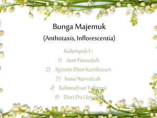 Bunga Majemuk
(Anthotaxis, Inflorescentia)
 