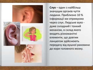 Слухова сенсорна система | PPT