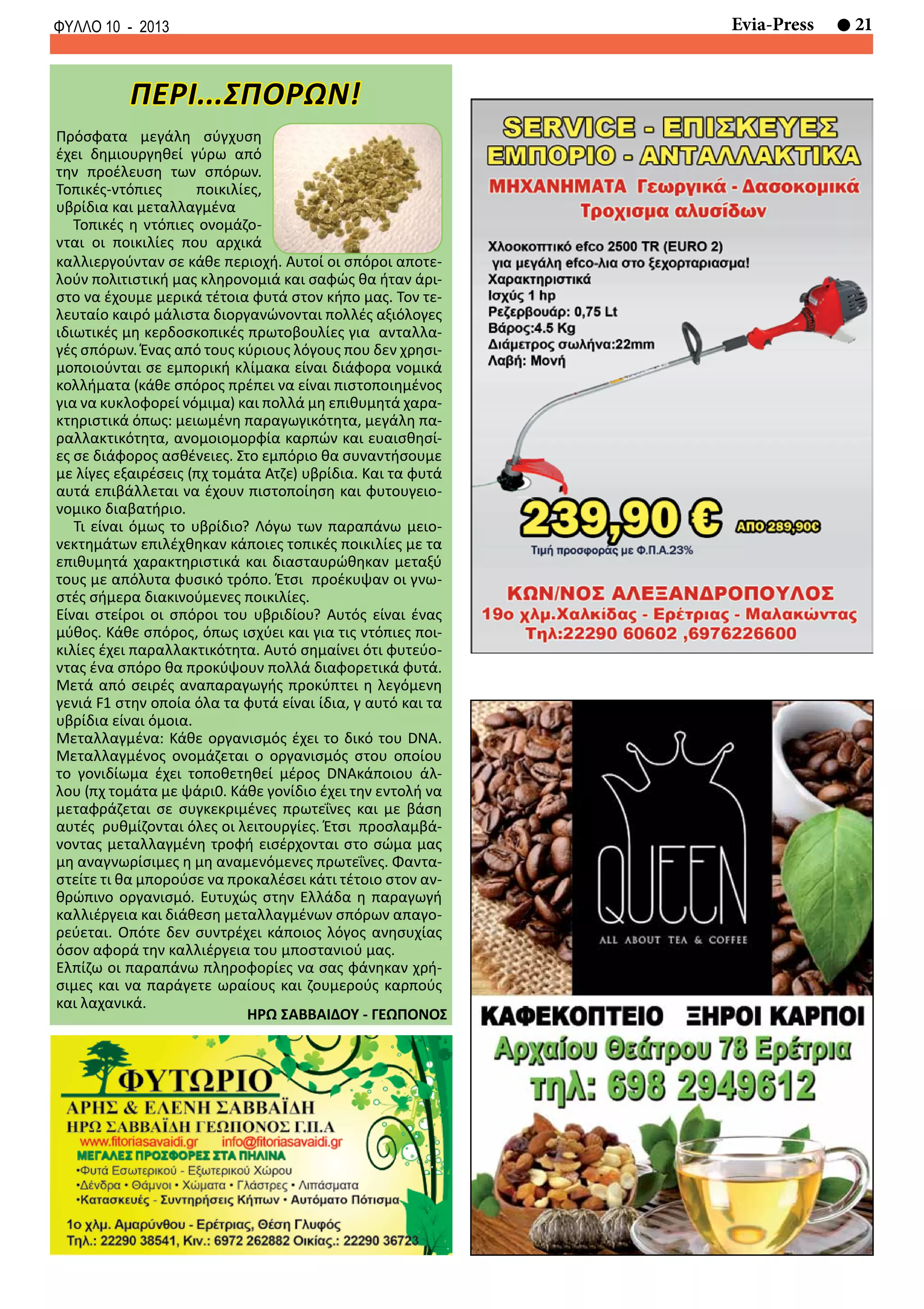 21Evia-PressΦΥΛΛΟ 10 - 2013
Πρόσφατα μεγάλη σύγχυση
έχει δημιουργηθεί γύρω από
την προέλευση των σπόρων.
Τοπικές-ντόπιες ποικιλίες,
υβρίδια και μεταλλαγμένα
Τοπικές η ντόπιες ονομάζο-
νται οι ποικιλίες που αρχικά
ΠΕΡΙ...ΣΠΟΡΩΝ!
καλλιεργούνταν σε κάθε περιοχή. Αυτοί οι σπόροι αποτε-
λούν πολιτιστική μας κληρονομιά και σαφώς θα ήταν άρι-
στο να έχουμε μερικά τέτοια φυτά στον κήπο μας. Τον τε-
λευταίο καιρό μάλιστα διοργανώνονται πολλές αξιόλογες
ιδιωτικές μη κερδοσκοπικές πρωτοβουλίες για ανταλλα-
γές σπόρων. Ένας από τους κύριους λόγους που δεν χρησι-
μοποιούνται σε εμπορική κλίμακα είναι διάφορα νομικά
κολλήματα (κάθε σπόρος πρέπει να είναι πιστοποιημένος
για να κυκλοφορεί νόμιμα) και πολλά μη επιθυμητά χαρα-
κτηριστικά όπως: μειωμένη παραγωγικότητα, μεγάλη πα-
ραλλακτικότητα, ανομοιομορφία καρπών και ευαισθησί-
ες σε διάφορος ασθένειες. Στο εμπόριο θα συναντήσουμε
με λίγες εξαιρέσεις (πχ τομάτα Ατζε) υβρίδια. Και τα φυτά
αυτά επιβάλλεται να έχουν πιστοποίηση και φυτουγειο-
νομικο διαβατήριο.
Τι είναι όμως το υβρίδιο? Λόγω των παραπάνω μειο-
νεκτημάτων επιλέχθηκαν κάποιες τοπικές ποικιλίες με τα
επιθυμητά χαρακτηριστικά και διασταυρώθηκαν μεταξύ
τους με απόλυτα φυσικό τρόπο. Έτσι προέκυψαν οι γνω-
στές σήμερα διακινούμενες ποικιλίες.
Είναι στείροι οι σπόροι του υβριδίου? Αυτός είναι ένας
μύθος. Κάθε σπόρος, όπως ισχύει και για τις ντόπιες ποι-
κιλίες έχει παραλλακτικότητα. Αυτό σημαίνει ότι φυτεύο-
ντας ένα σπόρο θα προκύψουν πολλά διαφορετικά φυτά.
Μετά από σειρές αναπαραγωγής προκύπτει η λεγόμενη
γενιά F1 στην οποία όλα τα φυτά είναι ίδια, γ αυτό και τα
υβρίδια είναι όμοια.
Μεταλλαγμένα: Κάθε οργανισμός έχει το δικό του DNA.
Μεταλλαγμένος ονομάζεται ο οργανισμός στου οποίου
το γονιδίωμα έχει τοποθετηθεί μέρος DNAκάποιου άλ-
λου (πχ τομάτα με ψάρι0. Κάθε γονίδιο έχει την εντολή να
μεταφράζεται σε συγκεκριμένες πρωτεΐνες και με βάση
αυτές ρυθμίζονται όλες οι λειτουργίες. Έτσι προσλαμβά-
νοντας μεταλλαγμένη τροφή εισέρχονται στο σώμα μας
μη αναγνωρίσιμες η μη αναμενόμενες πρωτεΐνες. Φαντα-
στείτε τι θα μπορούσε να προκαλέσει κάτι τέτοιο στον αν-
θρώπινο οργανισμό. Ευτυχώς στην Ελλάδα η παραγωγή
καλλιέργεια και διάθεση μεταλλαγμένων σπόρων απαγο-
ρεύεται. Οπότε δεν συντρέχει κάποιος λόγος ανησυχίας
όσον αφορά την καλλιέργεια του μποστανιού μας.
Ελπίζω οι παραπάνω πληροφορίες να σας φάνηκαν χρή-
σιμες και να παράγετε ωραίους και ζουμερούς καρπούς
και λαχανικά.
ΗΡΩ ΣΑΒΒΑΙΔΟΥ - ΓΕΩΠΟΝΟΣ
 