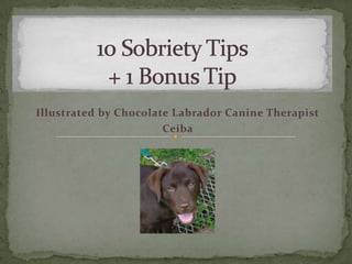 Illustrated by Chocolate Labrador Canine Therapist
Ceiba
 