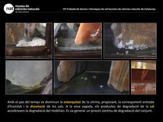 VII Trobada de tècnics i tècniques de col·leccions de ciències naturals de Catalunya
Amb el pas del temps va disminuir la estanquitat de la vitrina, propiciant, la corresponent entrada
d’humitat i la dissolució de les sals. A la seva vegada, els productes de degradació de la sal
acceleraven la degradació del mobiliari. Es va generar un procés continu de degradació del conjunt.
 