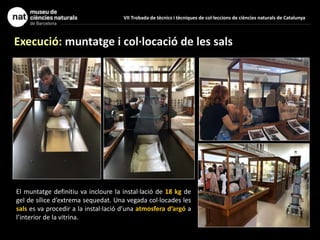 VII Trobada de tècnics i tècniques de col·leccions de ciències naturals de Catalunya
Execució: muntatge i col·locació de les sals
El muntatge definitiu va incloure la instal·lació de 18 kg de
gel de sílice d’extrema sequedat. Una vegada col·locades les
sals es va procedir a la instal·lació d’una atmosfera d’argó a
l’interior de la vitrina.
 