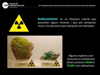 Radioactivitat: és un fenomen natural que
presenten alguns minerals i que pot comportar
riscos a les persones que manipulen els exemplars
Algunes espècies com
l’autunita o la torbernita
(foto) contenen URANI o
THORI i són radioactives.
VII Trobada de tècnics i tècniques de col·leccions de ciències naturals de Catalunya
 