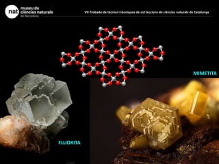 FLUORITA
MIMETITA
VII Trobada de tècnics i tècniques de col·leccions de ciències naturals de Catalunya
 