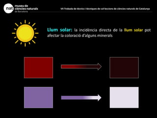 Llum solar: la incidència directa de la llum solar pot
afectar la coloració d’alguns minerals
VII Trobada de tècnics i tècniques de col·leccions de ciències naturals de Catalunya
 