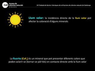La fluorita (CaF2) és un mineral que pot presentar diferents colors que
poden aclarir-se (tornar-se pàl·lids) en contacte directe amb la llum solar
Llum solar: la incidència directa de la llum solar pot
afectar la coloració d’alguns minerals
VII Trobada de tècnics i tècniques de col·leccions de ciències naturals de Catalunya
 