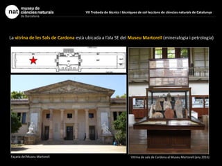 VII Trobada de tècnics i tècniques de col·leccions de ciències naturals de Catalunya
La vitrina de les Sals de Cardona està ubicada a l’ala SE del Museu Martorell (mineralogia i petrologia)
Façana del Museu Martorell Vitrina de sals de Cardona al Museu Martorell (any 2016)
 