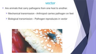 Pathogenic Animal Comprehensive Overview of Microbial Pathogenicity and Disease ...
