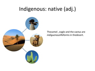 Indigenous: native (adj.)


            Thecamel , eagle and the cactus are
            indiguenouslifeforms in thedesert.
 