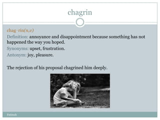 chagrin

chag‧rin(n,v)
Definition: annoyance and disappointment because something has not
happened the way you hoped.
Synonyms: upset, frustration.
Antonym: joy, pleasure.

The rejection of his proposal chagrined him deeply.




Fatimah
 