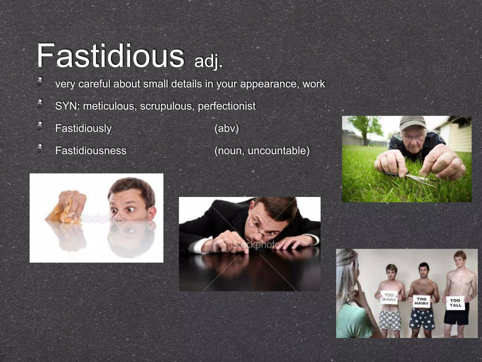 Fastidious adj.
 very careful about small details in your appearance, work

 SYN: meticulous, scrupulous, perfectionist

 Fastidiously                     (abv)

 Fastidiousness                   (noun, uncountable)
 