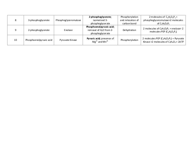 10 steps of glycolysis 10 steps of glycolysis