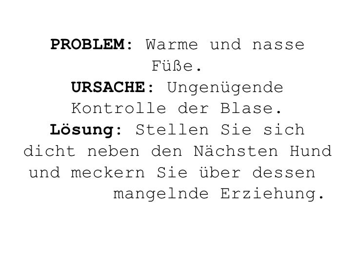 Das Eichhorn beim Alkoholismus Videos