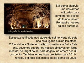 Escassez verificada nos stocks de sal no Norte do país
não está ligada à mina louletana.
O frio vivido a Norte tem reflexos positivos a Sul. «Este
ano, devemos superar os nossos objetivos em larga
medida, no target do sal para degelo, na ordem dos 30
por cento. Também temos boas previsões para 2011»,
revelou o diretor das minas de sal-gema de Loulé.
Sal-gema algarvio:
uma das armas
utilizadas para
combater os efeitos
do tempo frio em
Portugal e noutros
países europeus.
fotografia de Mário Martins
 