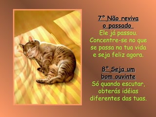 7°   Não reviva o passado  Ele já passou. Concentre-se no que se passa na tua vida e seja feliz agora. 8°   Seja um bom ouvinte Só quando escutar, obterás idéias diferentes das tuas. 