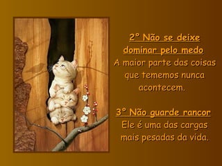 2°   Não se deixe dominar pelo medo   A maior parte das coisas que tememos nunca acontecem.    3°   Não guarde rancor   Ele é uma das cargas mais pesadas da vida. 