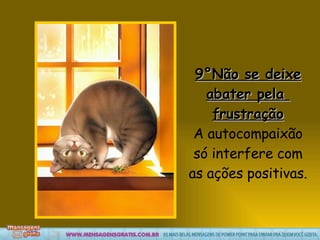9°Não se deixe abater pela  frustração A autocompaixão só interfere com as ações positivas. 