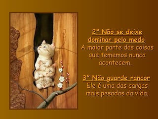2°   Não se deixe dominar pelo medo   A maior parte das coisas que tememos nunca acontecem.    3°   Não guarde rancor   Ele é uma das cargas mais pesadas da vida. 