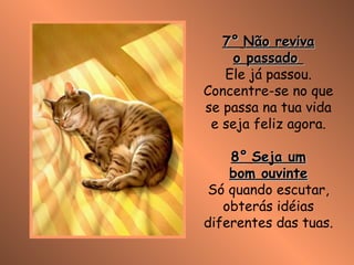 7°   Não reviva o passado  Ele já passou. Concentre-se no que se passa na tua vida e seja feliz agora. 8°   Seja um bom ouvinte Só quando escutar, obterás idéias diferentes das tuas. 