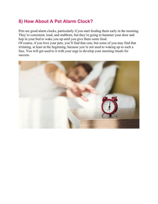 8) How About A Pet Alarm Clock?
Pets are good alarm clocks, particularly if you start feeding them early in the morning.
They’re consistent, loud, and stubborn, but they’re going to hammer your door and
hop in your bed to wake you up until you give them some food.
Of course, if you love your pets, you’ll find that cute, but some of you may find that
irritating, at least at the beginning, because you’re not used to waking up to such a
fuss. You will get used to it with your urge to develop your morning rituals for
success.
 