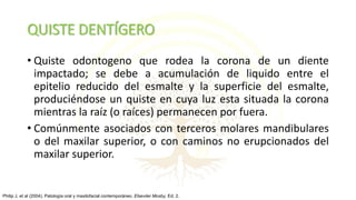 QUISTE DENTÍGERO
• Quiste odontogeno que rodea la corona de un diente
impactado; se debe a acumulación de liquido entre el
epitelio reducido del esmalte y la superficie del esmalte,
produciéndose un quiste en cuya luz esta situada la corona
mientras la raíz (o raíces) permanecen por fuera.
• Comúnmente asociados con terceros molares mandibulares
o del maxilar superior, o con caminos no erupcionados del
maxilar superior.
Philip J, et al (2004). Patología oral y maxilofacial contemporáneo. Elseviier Mosby, Ed. 2.
 