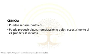 CLINICA:
• Pueden ser asintomáticos
• Puede producir alguna tumefacción o dolor, especialmente si
es grande y se inflama.
Philip J, et al (2004). Patología oral y maxilofacial contemporáneo. Elseviier Mosby, Ed. 2.
 
