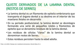 QUISTE DERIVADOS DE LA LAMINA DENTAL
(RESTOS DE SERRES)
• La lamina dental es un filamento de epitelio embrionario que
transporta el órgano dental a su destino en el interior de los
maxilares fetales en desarrollo
• En su periodo posfuncional, la lamina dental se desintegra
formando una serie de pequeños islotes y filamentos de
epitelio que se denomina residuos de la lamina dental.
• Los residuos de células “claras” de la lamina dental se
denominan restos de Serres.
• Estos residuos persisten hasta la edad adulta.
Philip J, et al (2004). Patología oral y maxilofacial contemporáneo. Elseviier Mosby, Ed. 2.
 