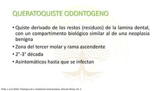 QUERATOQUISTE ODONTOGENO
• Quiste derivado de los restos (residuos) de la lamina dental,
con un compartimento biológico similar al de una neoplasia
benigna
• Zona del tercer molar y rama ascendente
• 2°-3° década
• Asintomáticos hasta que se infectan
Philip J, et al (2004). Patología oral y maxilofacial contemporáneo. Elseviier Mosby, Ed. 2.
 