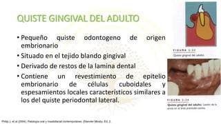 QUISTE GINGIVAL DEL ADULTO
• Pequeño quiste odontogeno de origen
embrionario
• Situado en el tejido blando gingival
• Derivado de restos de la lamina dental
• Contiene un revestimiento de epitelio
embrionario de células cuboidales y
espesamientos locales característicos similares a
los del quiste periodontal lateral.
Philip J, et al (2004). Patología oral y maxilofacial contemporáneo. Elseviier Mosby, Ed. 2.
 