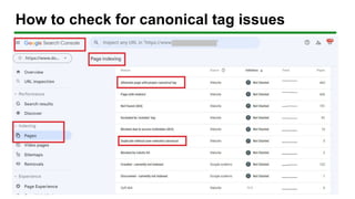 How to check for canonical tag issues
 
