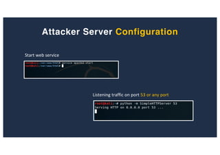 Attacker Server Configuration
Start web service
Listening traffic on port 53 or any port
 