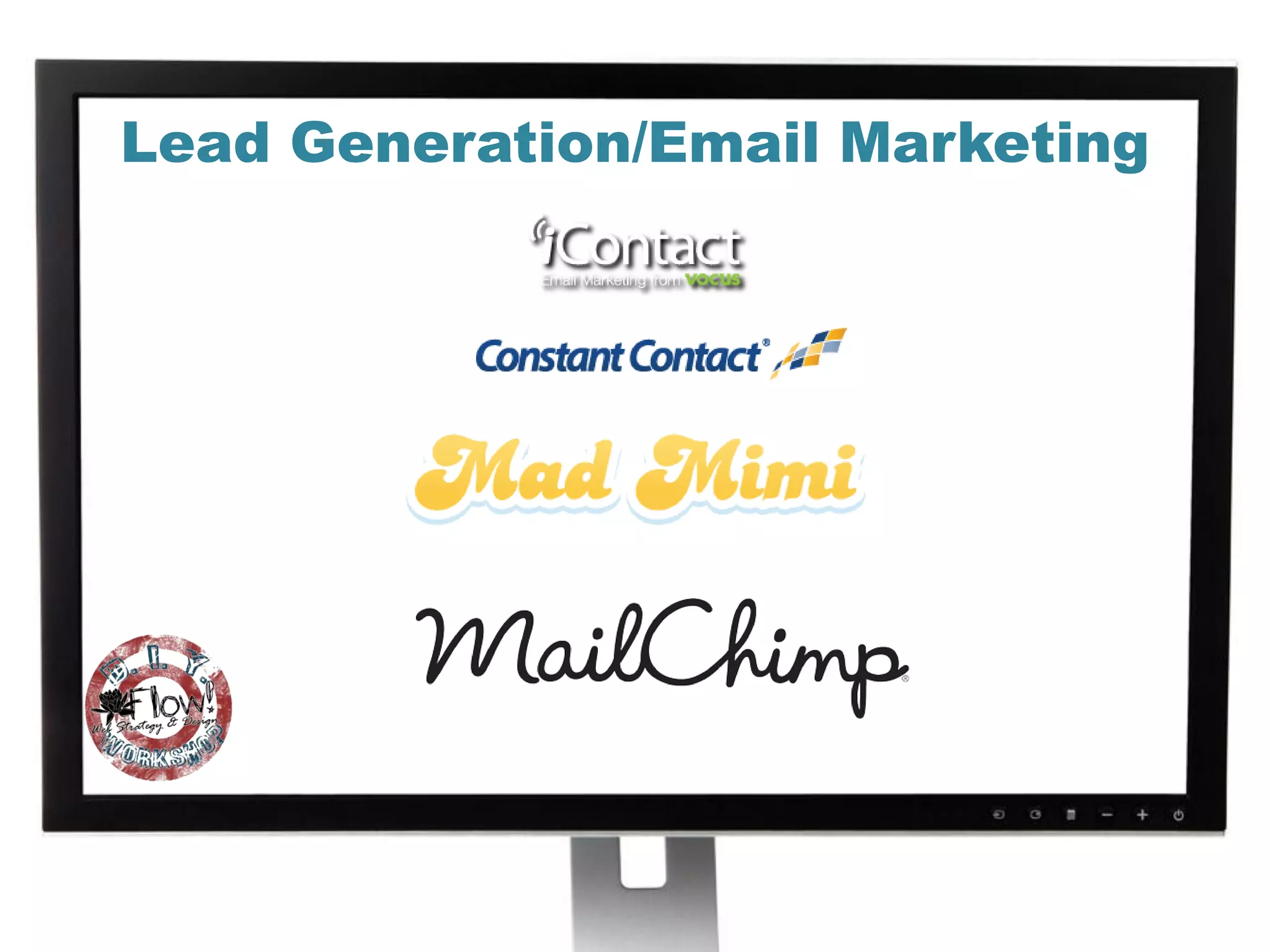 Lead Generation/Email Marketing
 