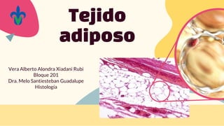 Tejido
adiposo
Vera Alberto Alondra Xiadani Rubi
Bloque 201
Dra. Melo Santiesteban Guadalupe
Histología
 