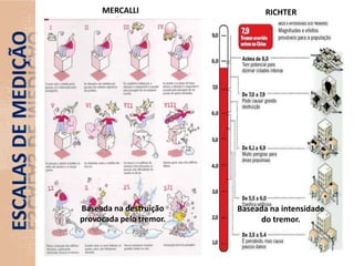  decomposição de matéria orgânica animal (plâncton) no Cretáceo formou petróleo