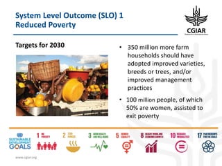 Biotech and innovative breeding for the new Agri-Food System CGIAR Research Programs (CRPs)