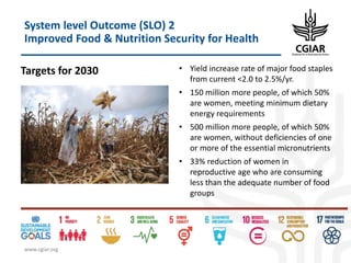 Biotech and innovative breeding for the new Agri-Food System CGIAR Research Programs (CRPs)