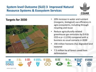 Biotech and innovative breeding for the new Agri-Food System CGIAR Research Programs (CRPs)